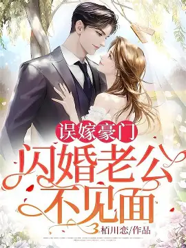 闪婚老公是总裁